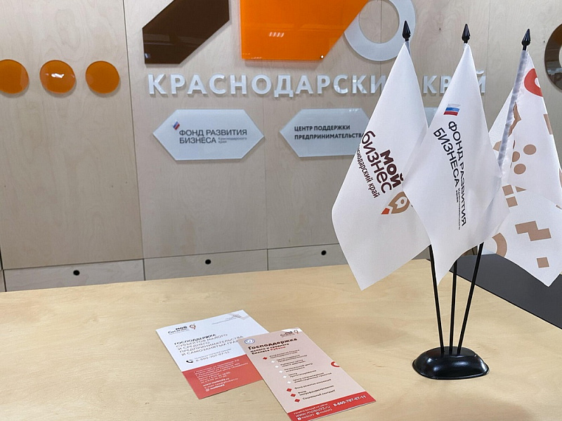 Фонд развития бизнеса с начала 2022 года выдал поручительств на сумму свыше 2,5 млрд рублей